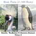 Birds Pedia Vol2 (Australia, New Zealand & Antarctica)
